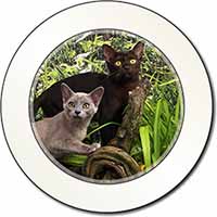 Burmese Cats Car or Van Permit Holder/Tax Disc Holder