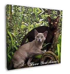 Burmese Cats 