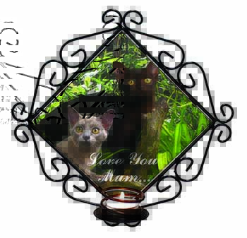 Burmese Cats 