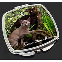 Burmese Cats 