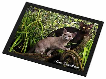 Burmese Cats 