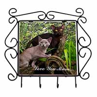 Burmese Cats 