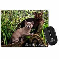 Burmese Cats 