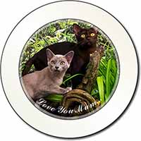 Burmese Cats 