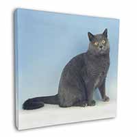 Blue Chartreax Cat Square Canvas 12"x12" Wall Art Picture Print