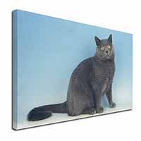 Blue Chartreax Cat Canvas X-Large 30"x20" Wall Art Print