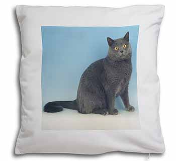 Blue Chartreax Cat Soft White Velvet Feel Scatter Cushion