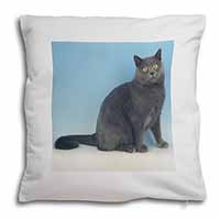 Blue Chartreax Cat Soft White Velvet Feel Scatter Cushion