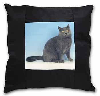 Blue Chartreax Cat Black Satin Feel Scatter Cushion