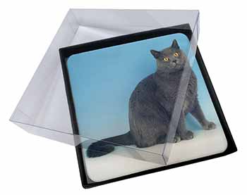 4x Blue Chartreax Cat Picture Table Coasters Set in Gift Box