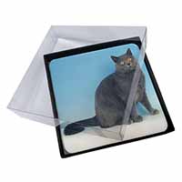 4x Blue Chartreax Cat Picture Table Coasters Set in Gift Box