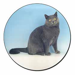 Blue Chartreax Cat Fridge Magnet Printed Full Colour