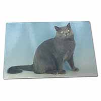 Large Glass Cutting Chopping Board Blue Chartreax Cat