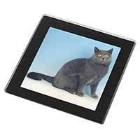 Blue Chartreax Cat Black Rim High Quality Glass Coaster