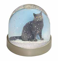Blue Chartreax Cat Snow Globe Photo Waterball