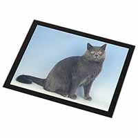 Blue Chartreax Cat Black Rim High Quality Glass Placemat