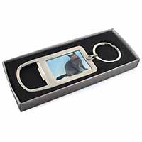 Blue Chartreax Cat Chrome Metal Bottle Opener Keyring in Box