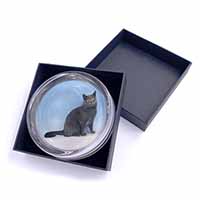 Blue Chartreax Cat Glass Paperweight in Gift Box