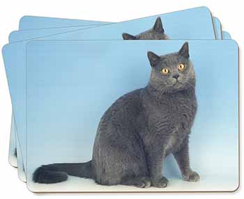 Blue Chartreax Cat Picture Placemats in Gift Box
