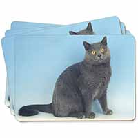 Blue Chartreax Cat Picture Placemats in Gift Box