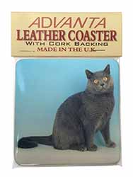Blue Chartreax Cat Single Leather Photo Coaster
