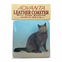 Blue Chartreax Cat Single Leather Photo Coaster