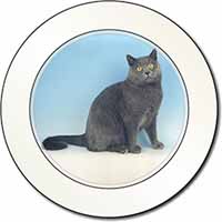 Blue Chartreax Cat Car or Van Permit Holder/Tax Disc Holder