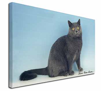 Chartreax Cat 