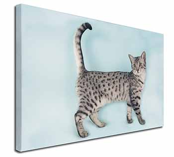 Egyptian Mau Cat Canvas X-Large 30"x20" Wall Art Print
