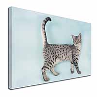 Egyptian Mau Cat Canvas X-Large 30"x20" Wall Art Print