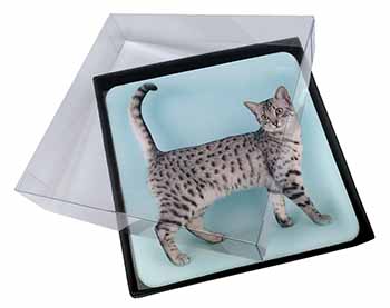 4x Egyptian Mau Cat Picture Table Coasters Set in Gift Box