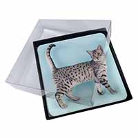 4x Egyptian Mau Cat Picture Table Coasters Set in Gift Box