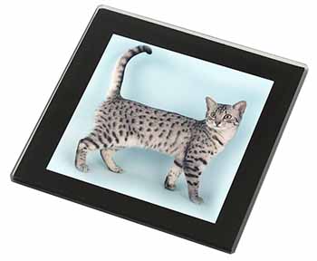 Egyptian Mau Cat Black Rim High Quality Glass Coaster