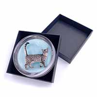 Egyptian Mau Cat Glass Paperweight in Gift Box