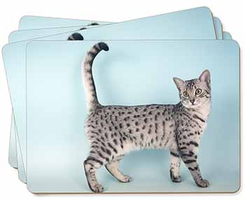 Egyptian Mau Cat Picture Placemats in Gift Box