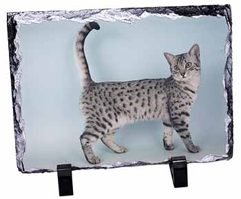 Egyptian Mau Cat, Stunning Photo Slate