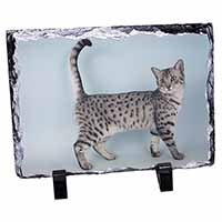 Egyptian Mau Cat, Stunning Photo Slate