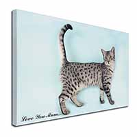 Egyptian Mau Cat 