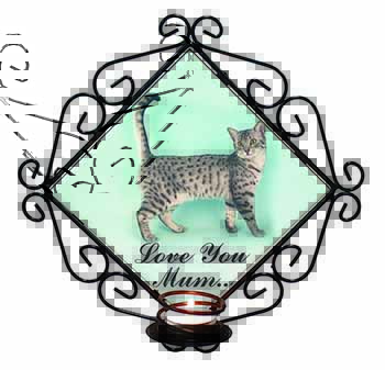 Egyptian Mau Cat 