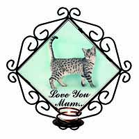 Egyptian Mau Cat 