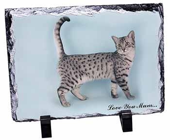 Egyptian Mau Cat 