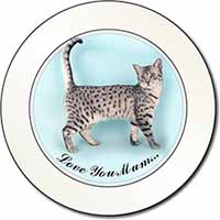 Egyptian Mau Cat 