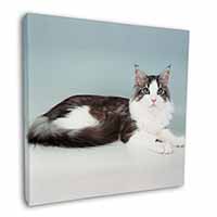 Silver, White Maine Coon Cat Square Canvas 12"x12" Wall Art Picture Print