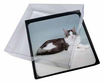 4x Silver, White Maine Coon Cat Picture Table Coasters Set in Gift Box