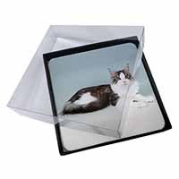 4x Silver, White Maine Coon Cat Picture Table Coasters Set in Gift Box