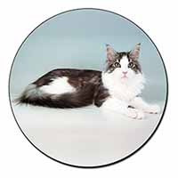 Silver, White Maine Coon Cat Fridge Magnet Printed Full Colour