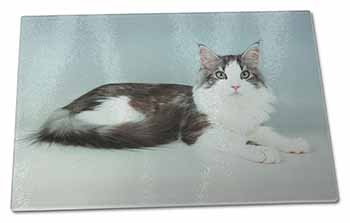 Large Glass Cutting Chopping Board Silver, White Maine Coon Cat