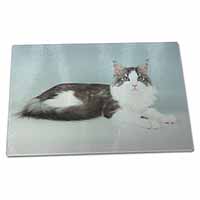 Large Glass Cutting Chopping Board Silver, White Maine Coon Cat