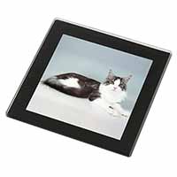 Silver, White Maine Coon Cat Black Rim High Quality Glass Coaster