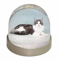 Silver, White Maine Coon Cat Snow Globe Photo Waterball